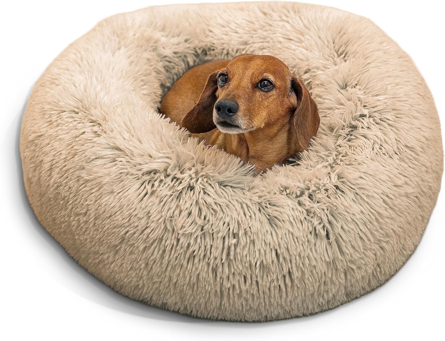 lionto Donutbett rund
