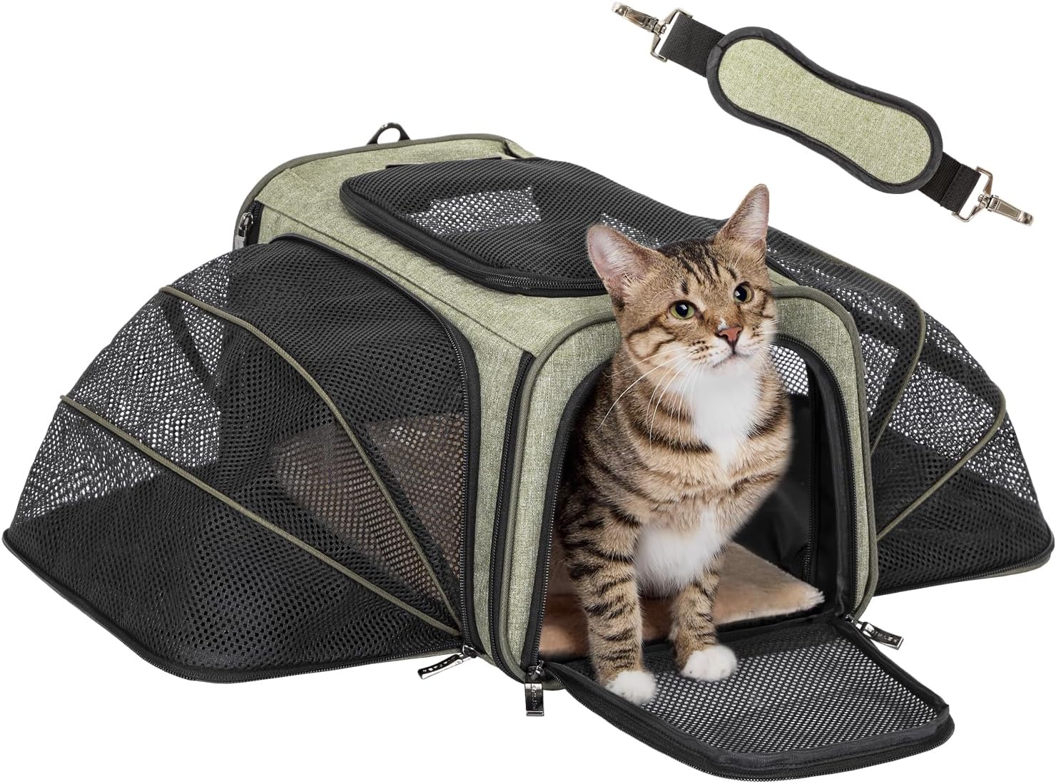 Petsfit Flug-Transportbox erweiterbar