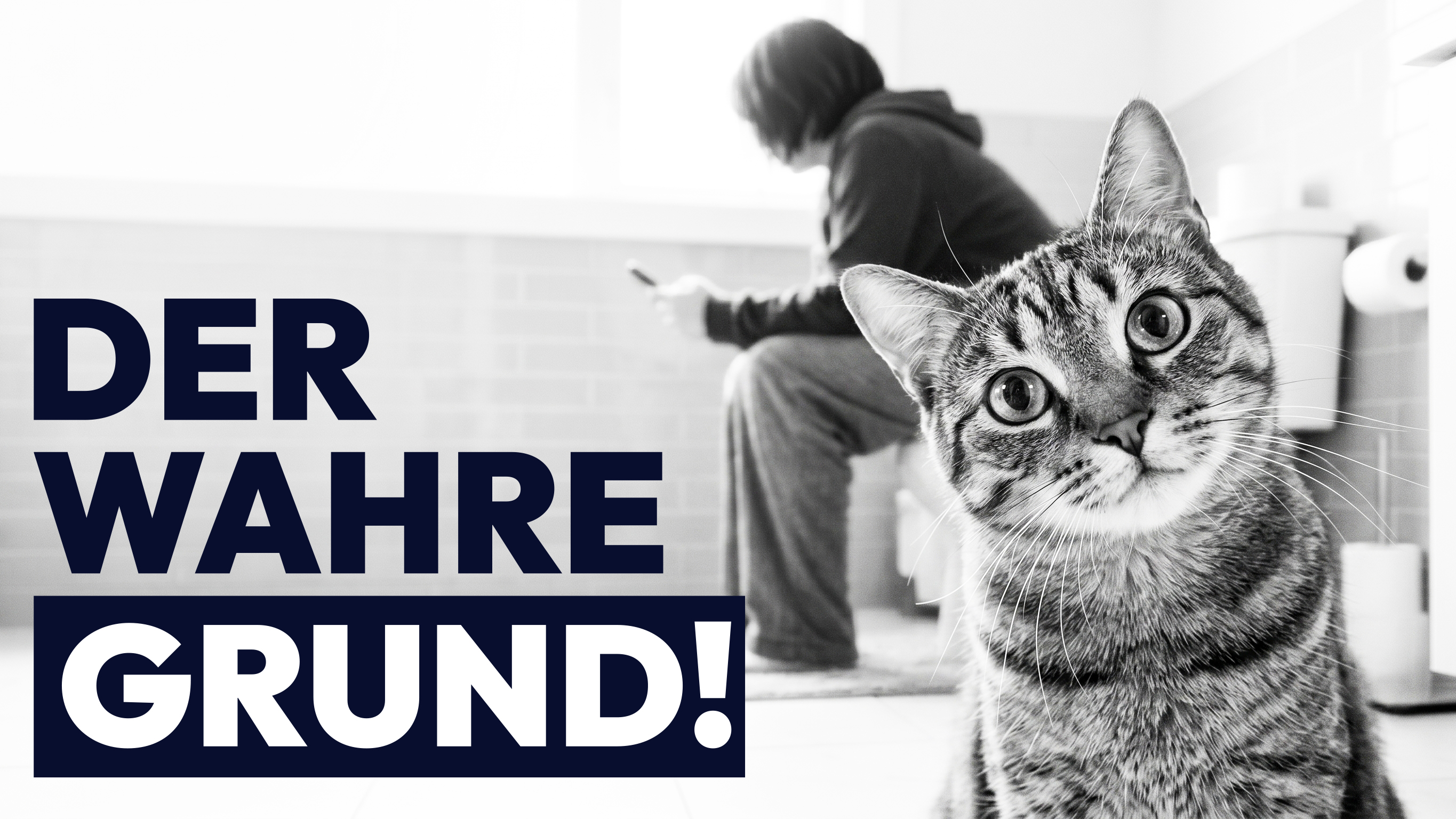 Warum deine Katze dir aufs Klo folgt (der Grund ist verrückt)